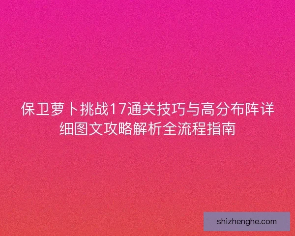 保卫萝卜挑战17通关技巧与高分布阵详细图文攻略解析全流程指南